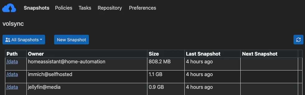 Kopia Overview showing available apps, their owner, size and when the last snapshot occurred